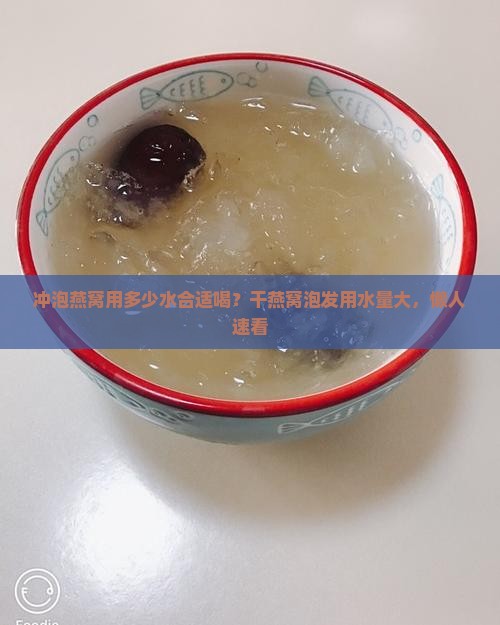 冲泡燕窝用多少水合适喝？干燕窝泡发用水量大，懒人速看
