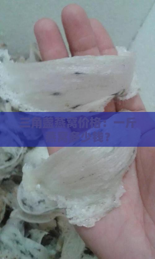 三角盏燕窝价格：一斤燕窝多少钱？
