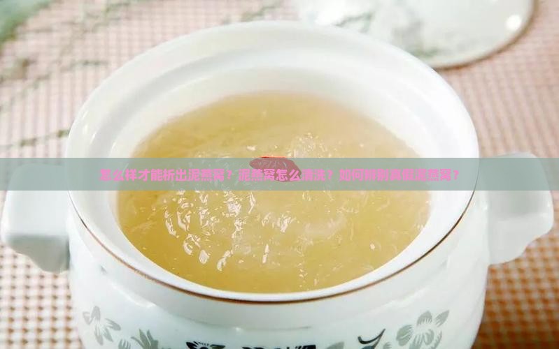 怎么样才能析出泥燕窝？泥燕窝怎么清洗？如何辨别真假泥燕窝？
