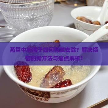 燕窝中长瘊子如何有效去除？解决烦恼的新方法与痛点解析！