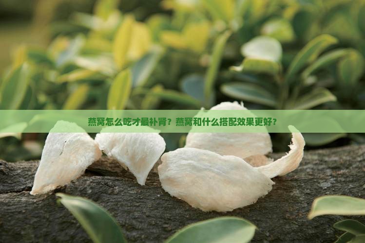 燕窝怎么吃才最补肾？燕窝和什么搭配效果更好？