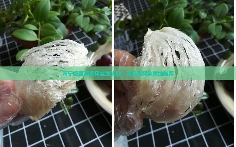 南宁哪里买燕窝丝馒头好—正宗燕窝销售地推荐