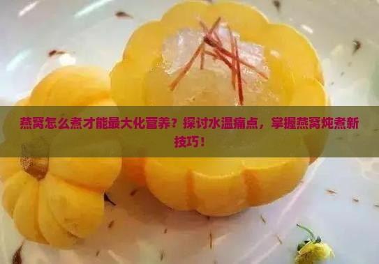 燕窝怎么煮才能最大化营养？探讨水温痛点，掌握燕窝炖煮新技巧！
