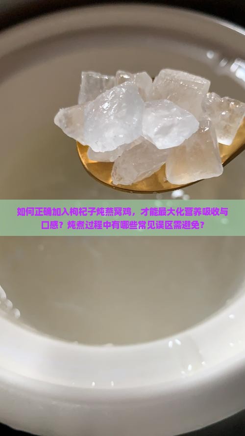 如何正确加入枸杞子炖燕窝鸡，才能最大化营养吸收与口感？炖煮过程中有哪些常见误区需避免？