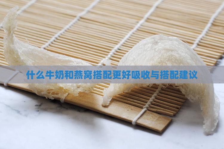 什么牛奶和燕窝搭配更好吸收与搭配建议