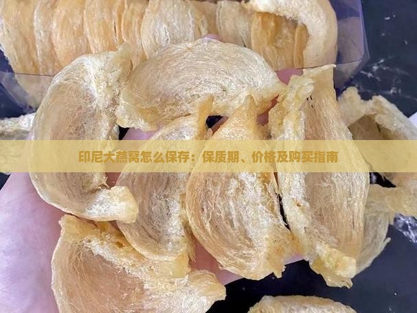 印尼大燕窝怎么保存：保质期、价格及购买指南