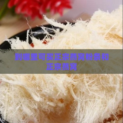 到哪里可买正宗燕窝粉条和正宗燕窝