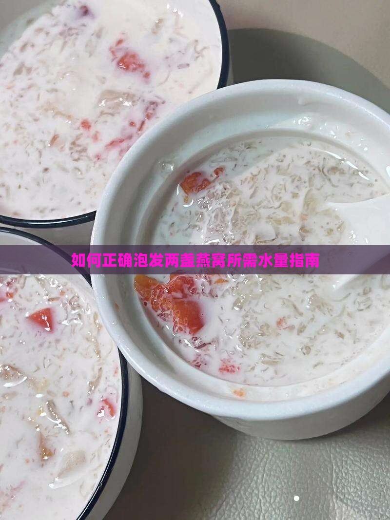 如何正确泡发两盏燕窝所需水量指南