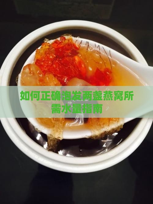 如何正确泡发两盏燕窝所需水量指南