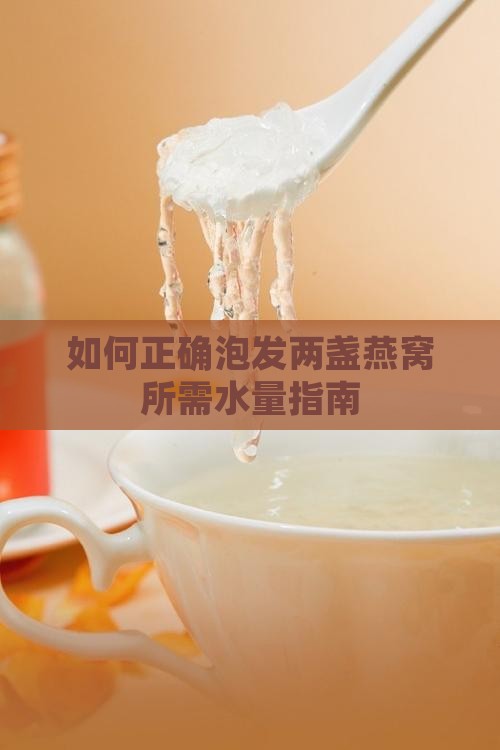 如何正确泡发两盏燕窝所需水量指南