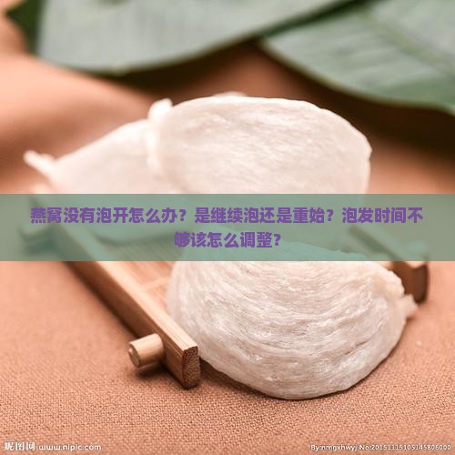 燕窝没有泡开怎么办？是继续泡还是重始？泡发时间不够该怎么调整？