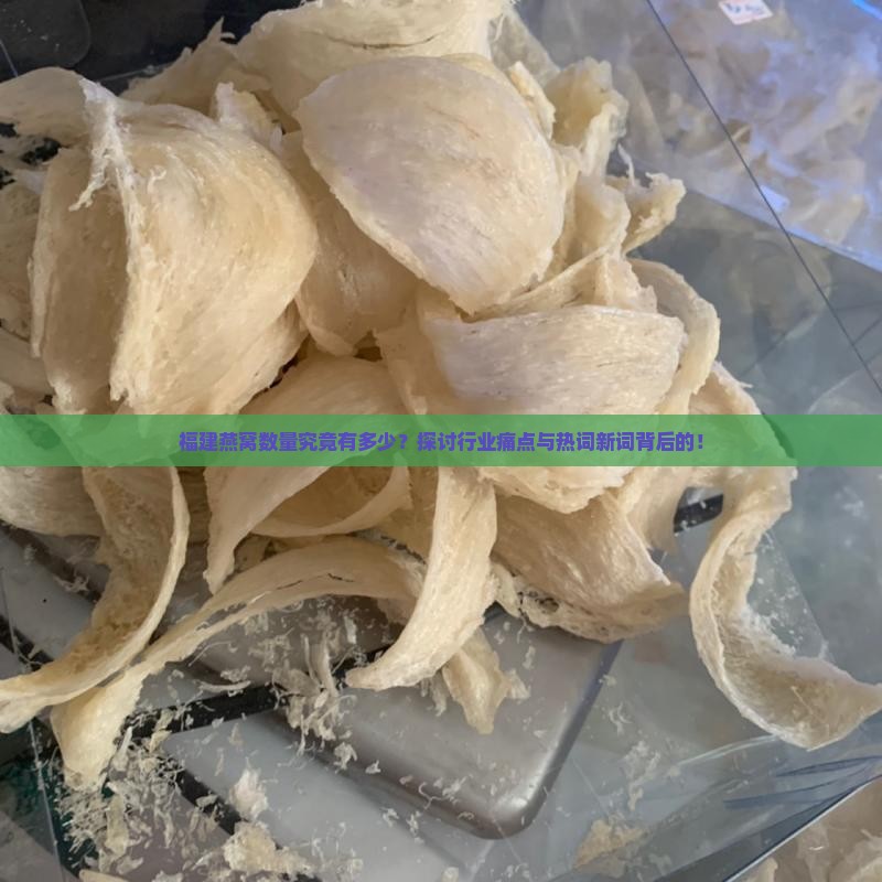 福建燕窝数量究竟有多少？探讨行业痛点与热词新词背后的！