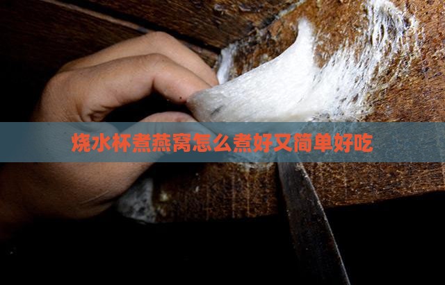 烧水杯煮燕窝怎么煮好又简单好吃