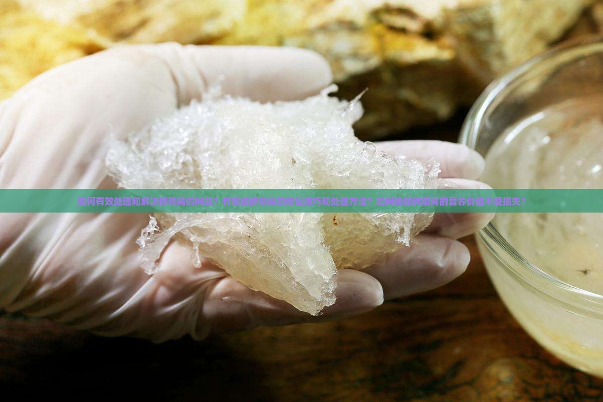 如何有效处理和解决碎燕窝的问题？有哪些碎燕窝的修复技巧和处理方法？如何确保碎燕窝的营养价值不受损失？