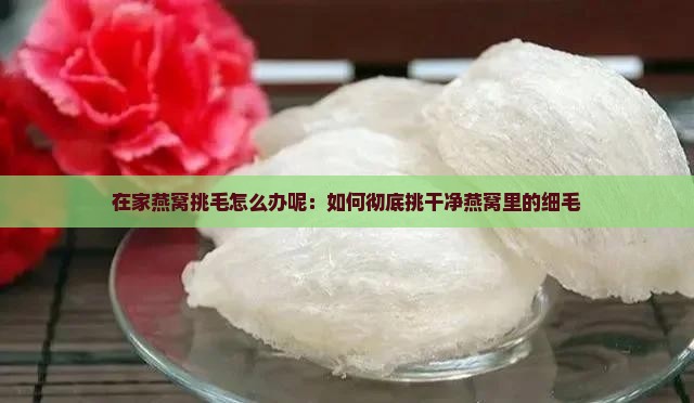 在家燕窝挑毛怎么办呢：如何彻底挑干净燕窝里的细毛