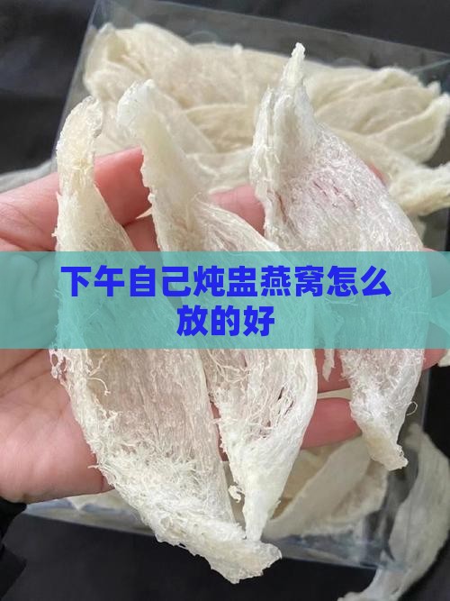 下午自己炖盅燕窝怎么放的好