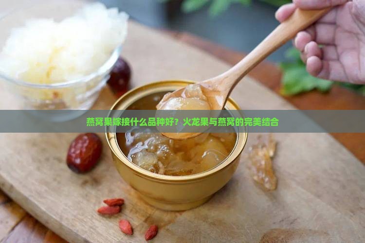 燕窝果嫁接什么品种好？火龙果与燕窝的完美结合