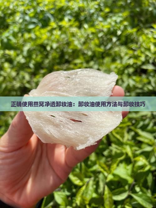 正确使用燕窝净透卸妆油：卸妆油使用方法与卸妆技巧