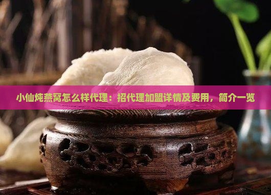 小仙炖燕窝怎么样代理：招代理加盟详情及费用，简介一览