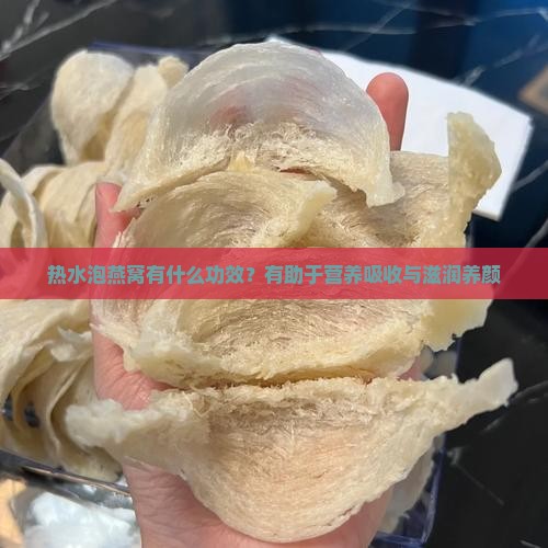 热水泡燕窝有什么功效？有助于营养吸收与滋润养颜