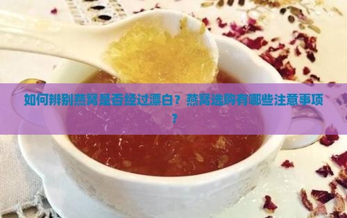 如何辨别燕窝是否经过漂白？燕窝选购有哪些注意事项？