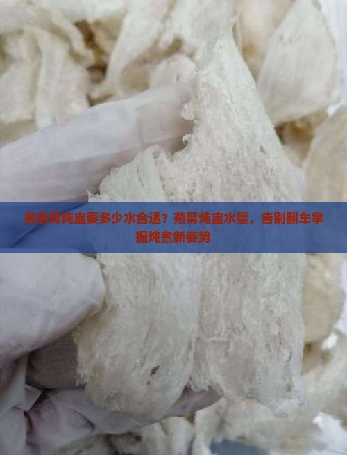 煮燕窝炖盅要多少水合适？燕窝炖盅水量，告别翻车掌握炖煮新姿势