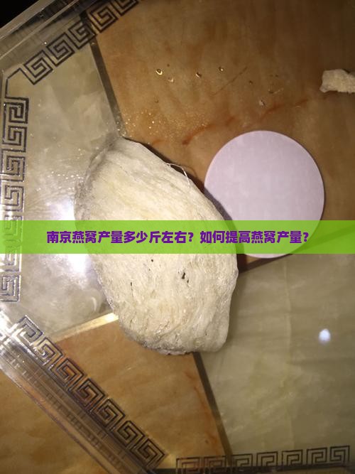 南京燕窝产量多少斤左右？如何提高燕窝产量？