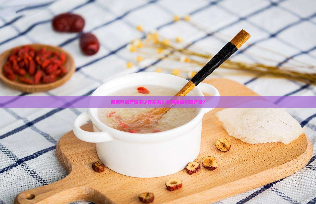 南京燕窝产量多少斤左右？如何提高燕窝产量？