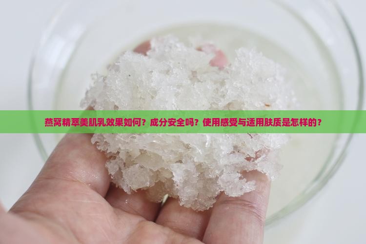 燕窝精萃美肌乳效果如何？成分安全吗？使用感受与适用肤质是怎样的？