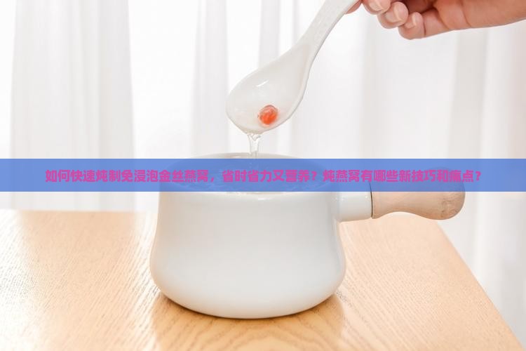 如何快速炖制免浸泡金丝燕窝，省时省力又营养？炖燕窝有哪些新技巧和痛点？