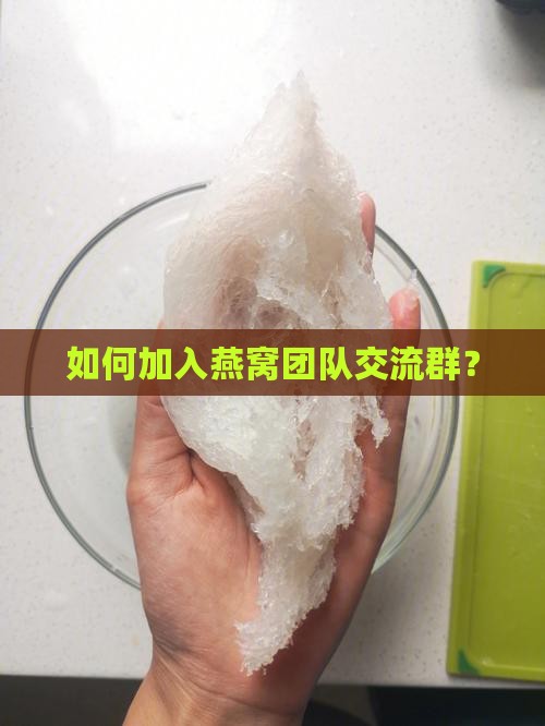 如何加入燕窝团队交流群？