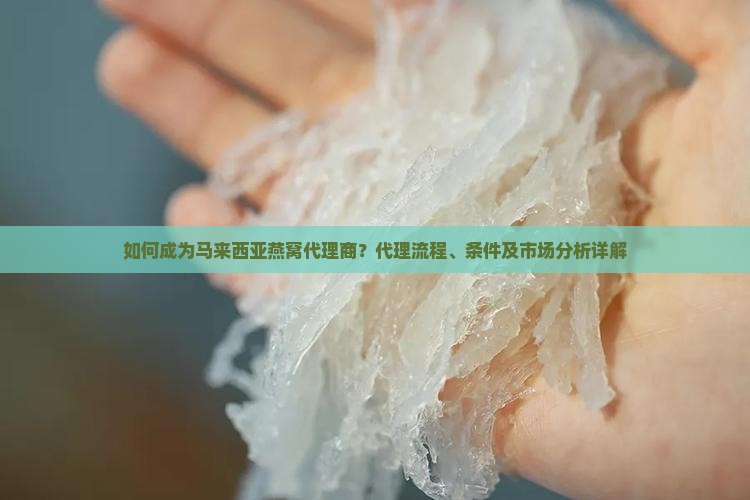 如何成为马来西亚燕窝代理商？代理流程、条件及市场分析详解