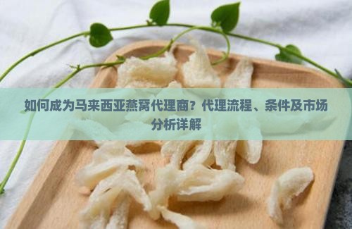如何成为马来西亚燕窝代理商？代理流程、条件及市场分析详解