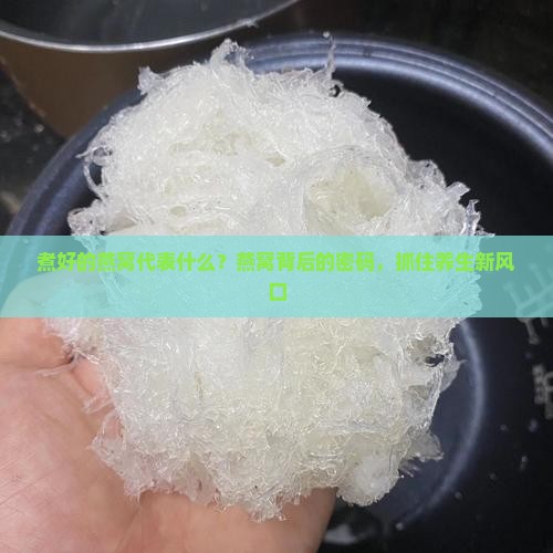 煮好的燕窝代表什么？燕窝背后的密码，抓住养生新风口
