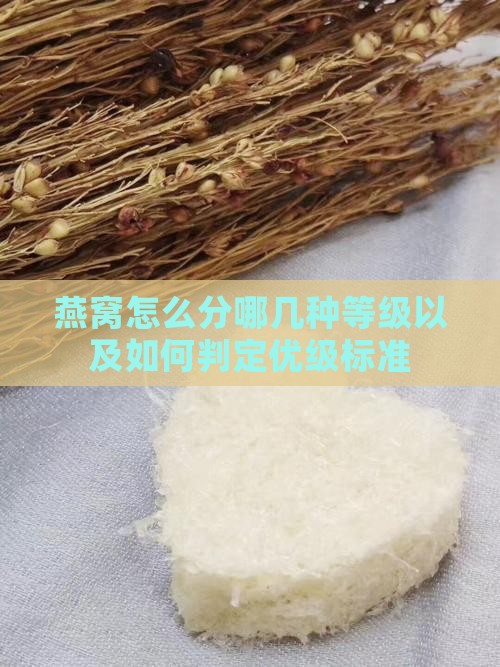 燕窝怎么分哪几种等级以及如何判定优级标准