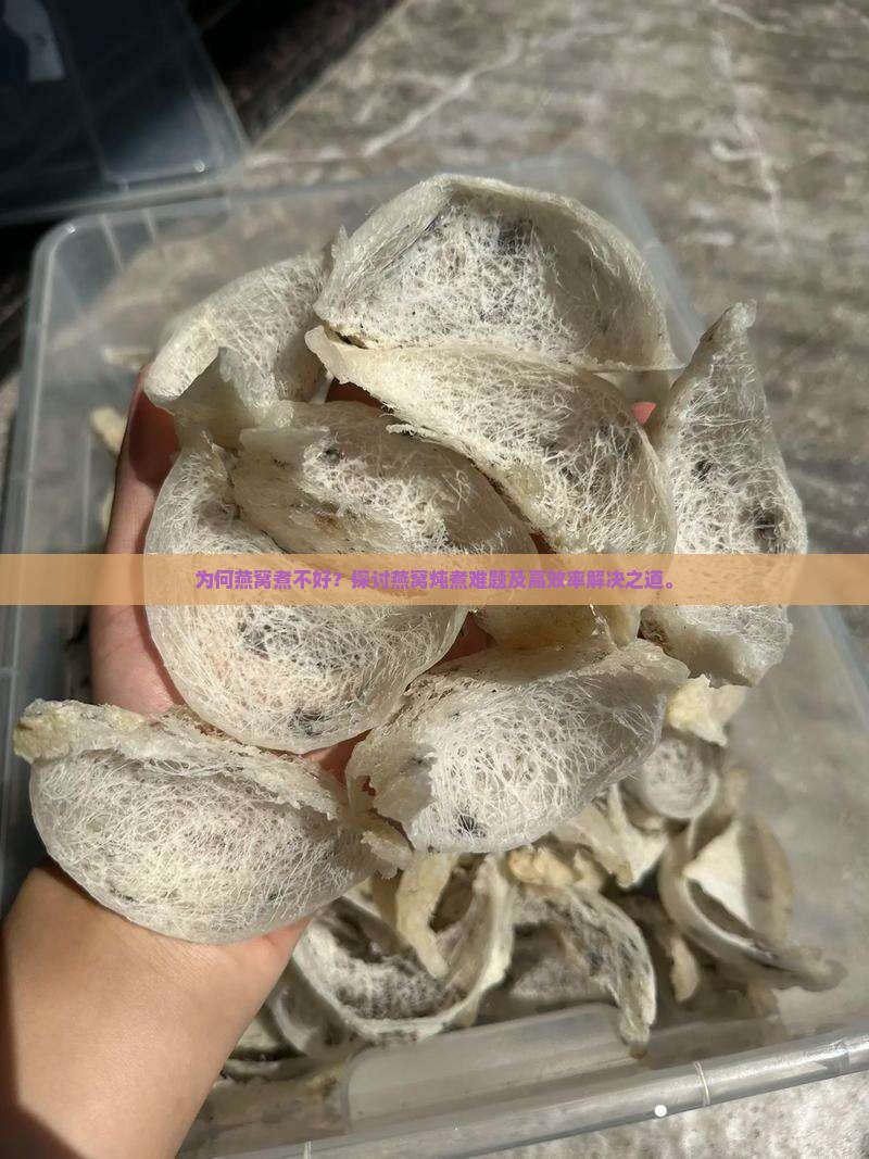 为何燕窝煮不好？探讨燕窝炖煮难题及高效率解决之道。