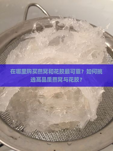 在哪里购买燕窝和花胶最可靠？如何挑选高品质燕窝与花胶？