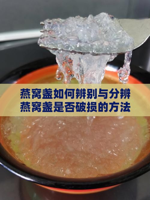 燕窝盏如何辨别与分辨燕窝盏是否破损的方法