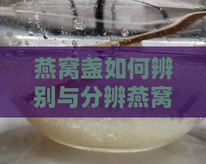 燕窝盏如何辨别与分辨燕窝盏是否破损的方法