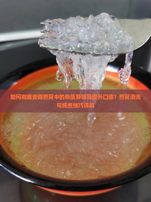 如何彻底去除燕窝中的杂质异味及提升口感？燕窝清洗与炖煮技巧详解