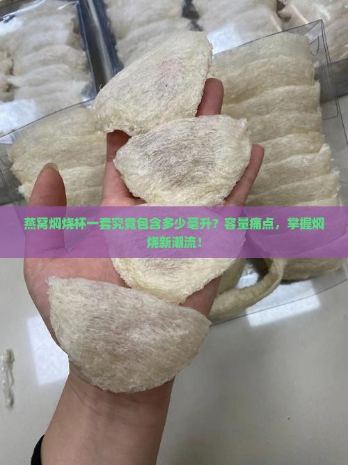 燕窝焖烧杯一套究竟包含多少毫升？容量痛点，掌握焖烧新潮流！