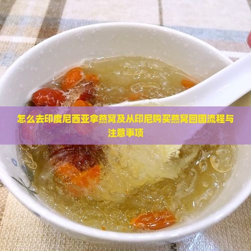 怎么去印度尼西亚拿燕窝及从印尼购买燕窝回国流程与注意事项