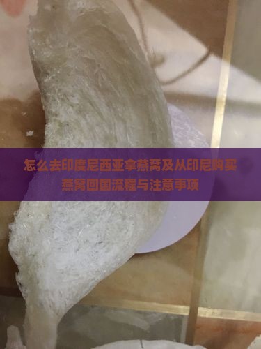 怎么去印度尼西亚拿燕窝及从印尼购买燕窝回国流程与注意事项