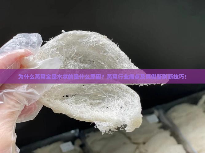 为什么燕窝全是水状的是什么原因？燕窝行业痛点及真假鉴别新技巧！