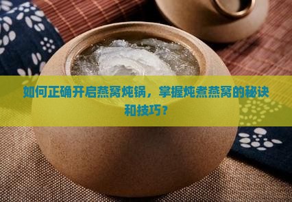 如何正确开启燕窝炖锅，掌握炖煮燕窝的秘诀和技巧？