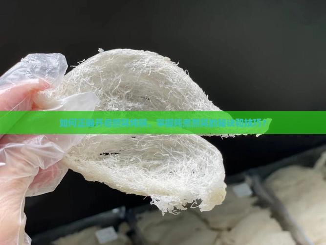 如何正确开启燕窝炖锅，掌握炖煮燕窝的秘诀和技巧？