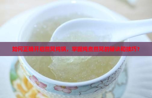 如何正确开启燕窝炖锅，掌握炖煮燕窝的秘诀和技巧？