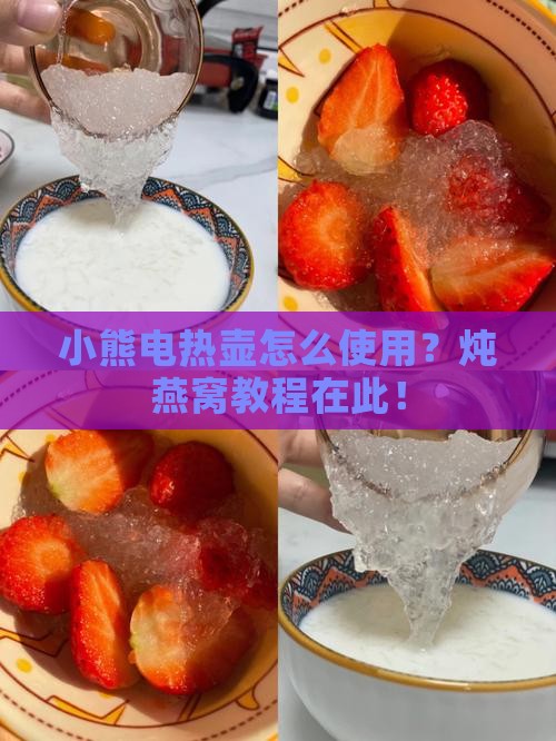 小熊电热壶怎么使用？炖燕窝教程在此！