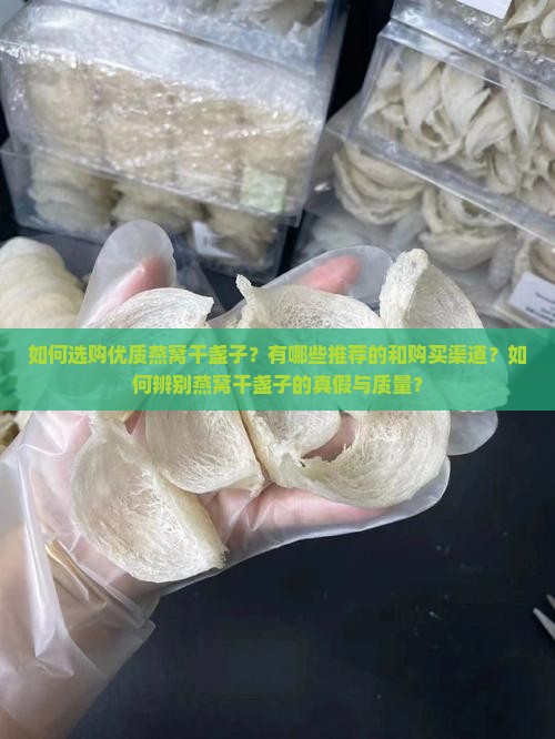 如何选购优质燕窝干盏子？有哪些推荐的和购买渠道？如何辨别燕窝干盏子的真假与质量？