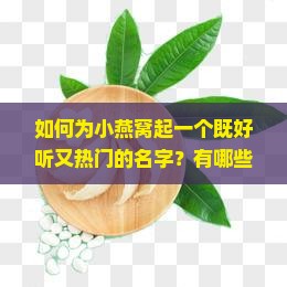 如何为小燕窝起一个既好听又热门的名字？有哪些痛点和热词新词可以融入？